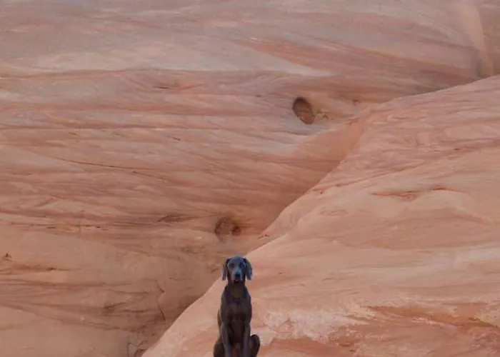 Pet-friendly Modern Vacation With Vermilion Cliffs Views, Boat Parking & Fenced Yard Near Horseshoe Bend & Powell, Arizona Holiday home Page
